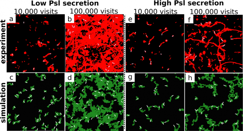 trailpatterm.png trailpatterm.png